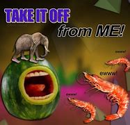 Image result for Weird Surreal Memes
