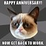 Image result for Happy Work Anniversary Cat
