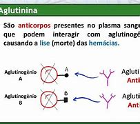 Image result for aglutinina