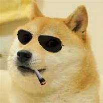 Image result for Doge with Sunglasses Meme