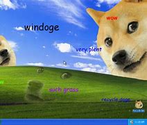 Image result for Windows XD Wallpaper Meme