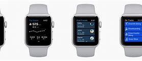 Image result for Apple Watch Altimeter