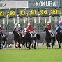 Image result for Japan Horse Racing