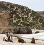 Image result for Kangaroo Island, Australia