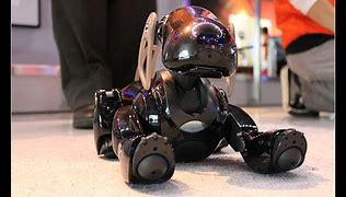 Image result for Aibo Most Expensive Robot Dog