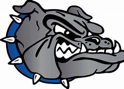 Image result for Durham Softball Logo