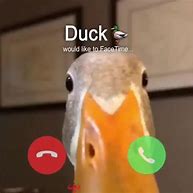 Image result for Funny FaceTime Screenshots