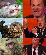 Image result for Benedict Cumberbatch Otter