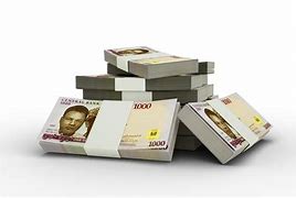 Image result for Naira Mint