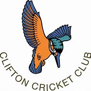 Image result for 80 Not Out Cricket Sign