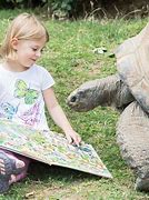 Image result for co_to_za_zoo_vienna