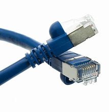 Image result for Blue Ethernet Cable