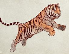 Image result for Hand Drawn Tiger