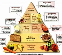Image result for Best Diet to Lose Weight