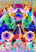 Image result for Trippy Cat Clip Art
