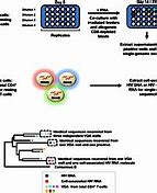Image result for ESC Schematic