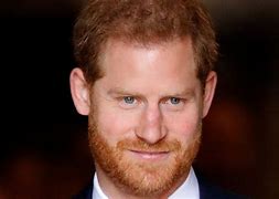 Image result for prince harry beard 2023