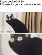Image result for Black Cat Face Meme