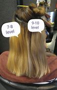 Image result for Level 8 Blonde Hair Color