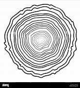 Image result for Tree Rings Texture