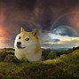 Image result for Doge Desktop Wallpaper