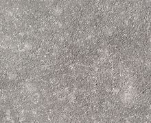 Image result for Gray Rock Texture