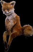 Image result for Stuffed Fox Meme