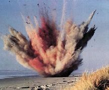 Image result for Can Whales Explode