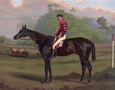 Image result for Jockey Horse Vector