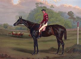 Image result for Horse and Jockey Stockton