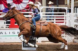 Image result for Woman Barrel Racing