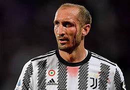 Chiellini 的图像结果