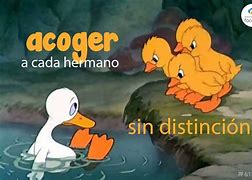 Image result for acogedir