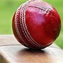 Image result for Cricket Pitch Roof