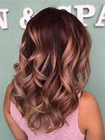Image result for Burgundy Hair Color with Blonde Highlights