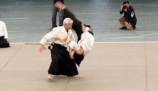 Image result for Japan Aikido