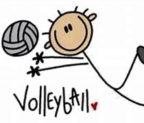 Image result for Stick for Volleyball