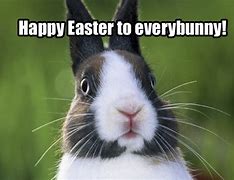 Image result for Easter Is Coming Meme