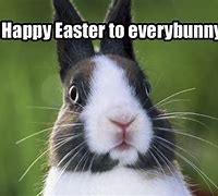 Image result for Easter Holiday Meme