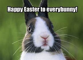Image result for Good Friday Meme Easter