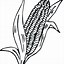 Image result for Corn Field Coloring Page