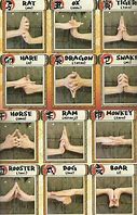 Image result for Hand Signs for Jutsus