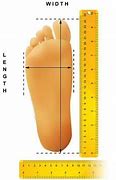 Image result for 1 Foot Measurement