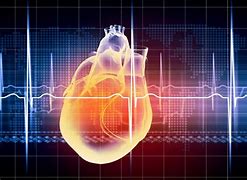 Image result for EKG