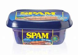 Image result for Spam Container