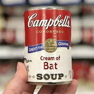 Image result for Campbell Bat Soup