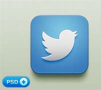 Image result for iPhone Twitter App Icon