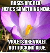 Image result for Single Red Rose Poem