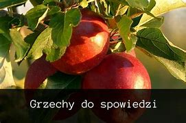 Image result for co_to_znaczy_za_grzechy
