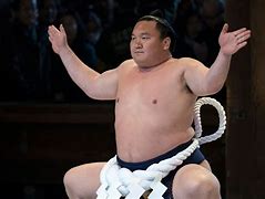 Image result for Small Sumo Wrestler